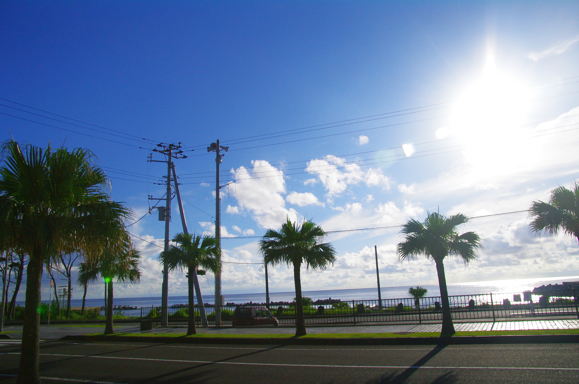 16 7 25 28 八丈島旅行 4日目 Grow Plants Anelaブログ